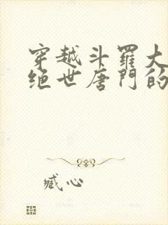 穿越斗罗大陆2绝世唐门的小说