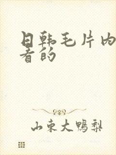 日韩毛片内射能看的