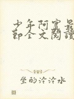 少年阿宾最新章节全文阅读目录