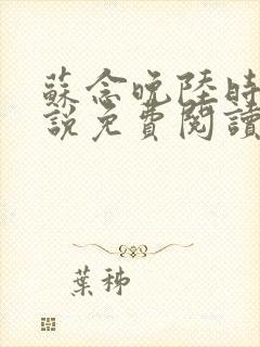 苏念晚陆时衍小说免费阅读最新章节