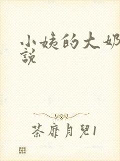 小姨的大奶子小说