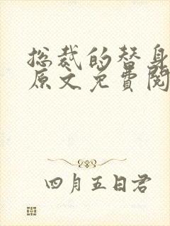 总裁的替身前妻原文免费阅读