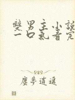 双男主小说全文一口气看完