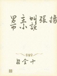 男主叫张扬的都市小说封面