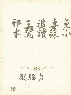 邪王追妻免费全本阅读苏小暖封面