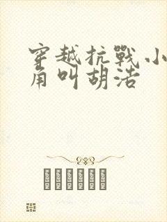 穿越抗战小说主角叫胡浩封面