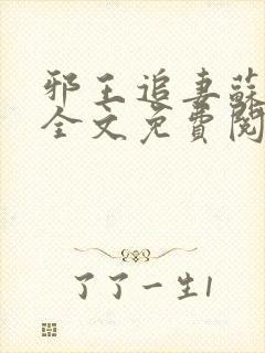 邪王追妻苏小暖全文免费阅读封面