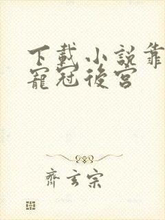 下载小说靠生子宠冠后宫封面