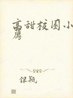 高甜校园小说推荐封面