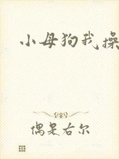 小母狗我操死你