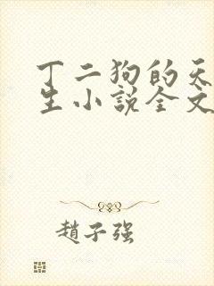 丁二狗的天梯人生小说全文免费阅读