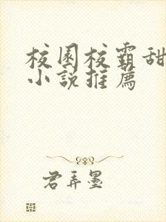 校园校霸甜宠文小说推荐封面