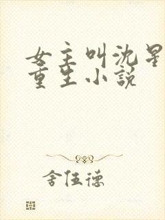 女主叫沈星辰的重生小说封面