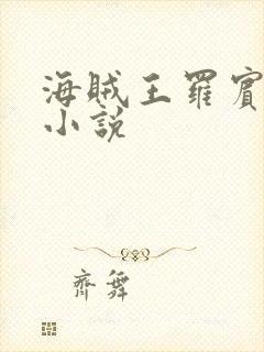 海贼王罗宾同人小说