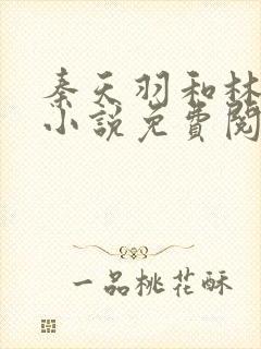 秦天羽和林晴雪小说免费阅读封面