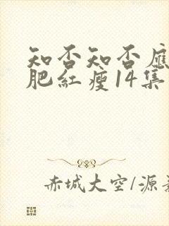 知否知否应是绿肥红瘦14集