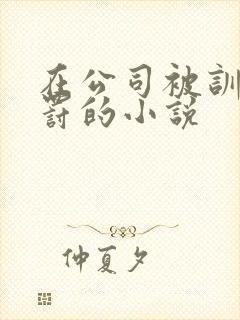 在公司被训诫被罚的小说