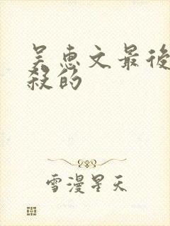 吴惠文最后被谁杀的封面