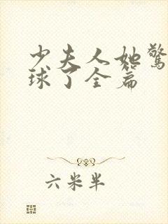 少夫人她惊艳全球了全篇封面