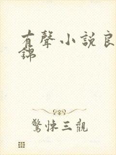 有声小说良陈美锦