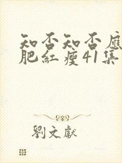 知否知否应是绿肥红瘦41集