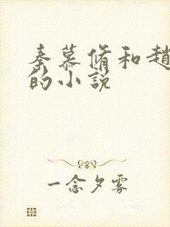 秦慕修和赵锦儿的小说