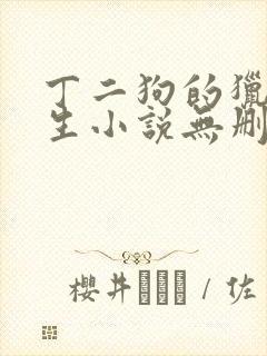 丁二狗的猎艳人生小说无删减小说