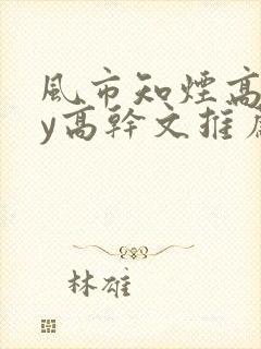 风市知烟高干by高干文推荐