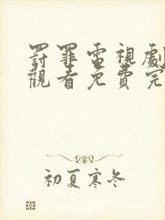 罚罪电视剧在线观看免费完整版