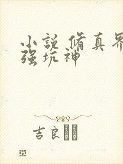 小说 修真界最强坑神