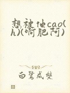 想被他cao(h)(啊肥阿)