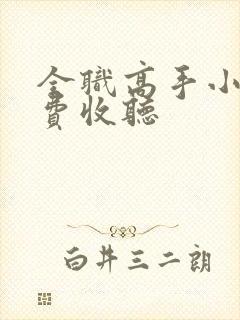 全职高手小说免费收听