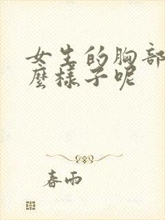 女生的胸部是什么样子呢