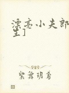 漂亮小夫郎[重生]