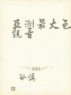 亚洲最大色在线观看封面