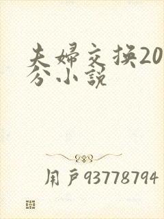 夫妇交换20部分小说封面