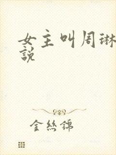 女主叫周琳的小说