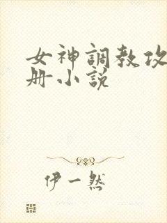 女神调教攻略手册小说