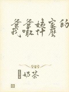 爸爸姨家的女儿我喊什么封面