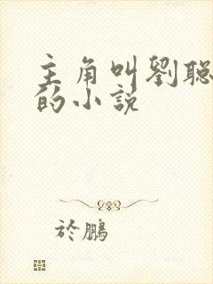 主角叫刘聪赵兰的小说