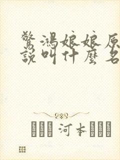 惊鸿娘娘原著小说叫什么名字