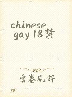 chinese gay 18禁