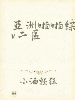 亚洲啪啪综合av二区