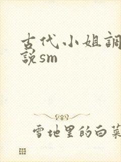 古代小姐调教小说sm