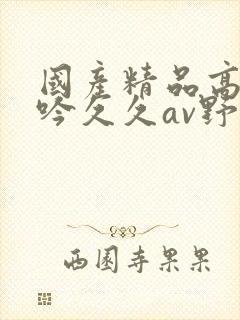 国产精品高潮呻吟久久av野狼