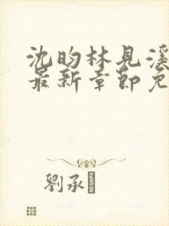 沈昀林见溪小说最新章节免费阅读