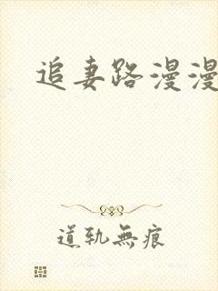 追妻路漫漫小说