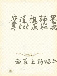魔道祖师墨香铜臭txt原版无删减