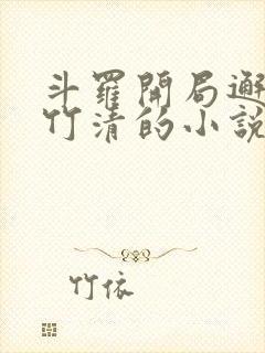 斗罗开局邂逅朱竹清的小说