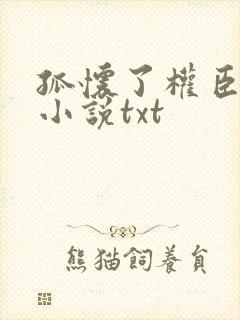 孤怀了权臣的崽小说txt封面